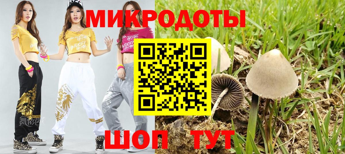 Галлюциногенные грибы Psilocybe Елизово