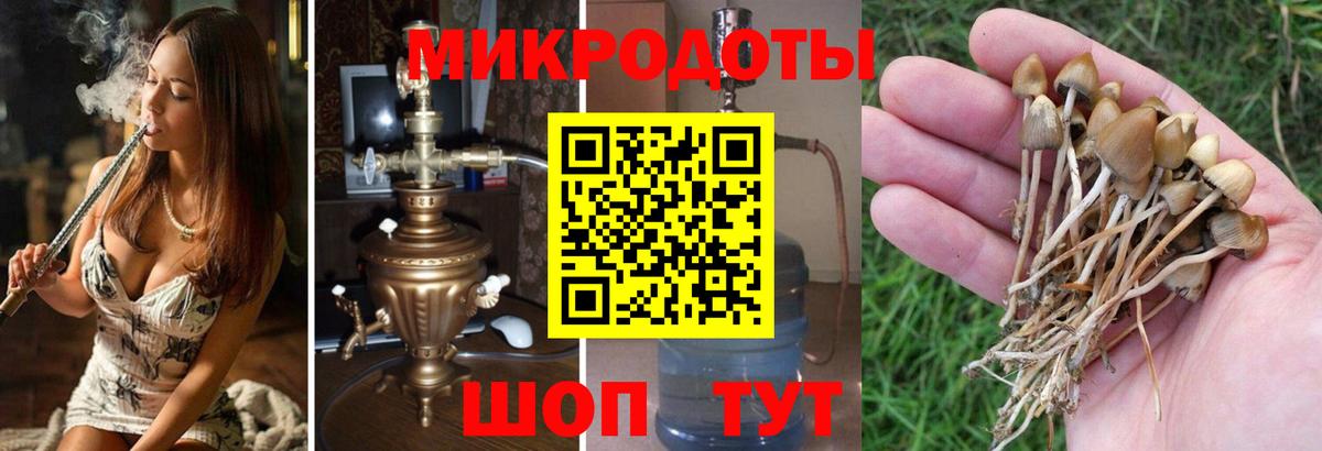 Галлюциногенные грибы мицелий  Вход с VPN  Елизово  Галлюциногенные грибы GOLDEN TEACHER 